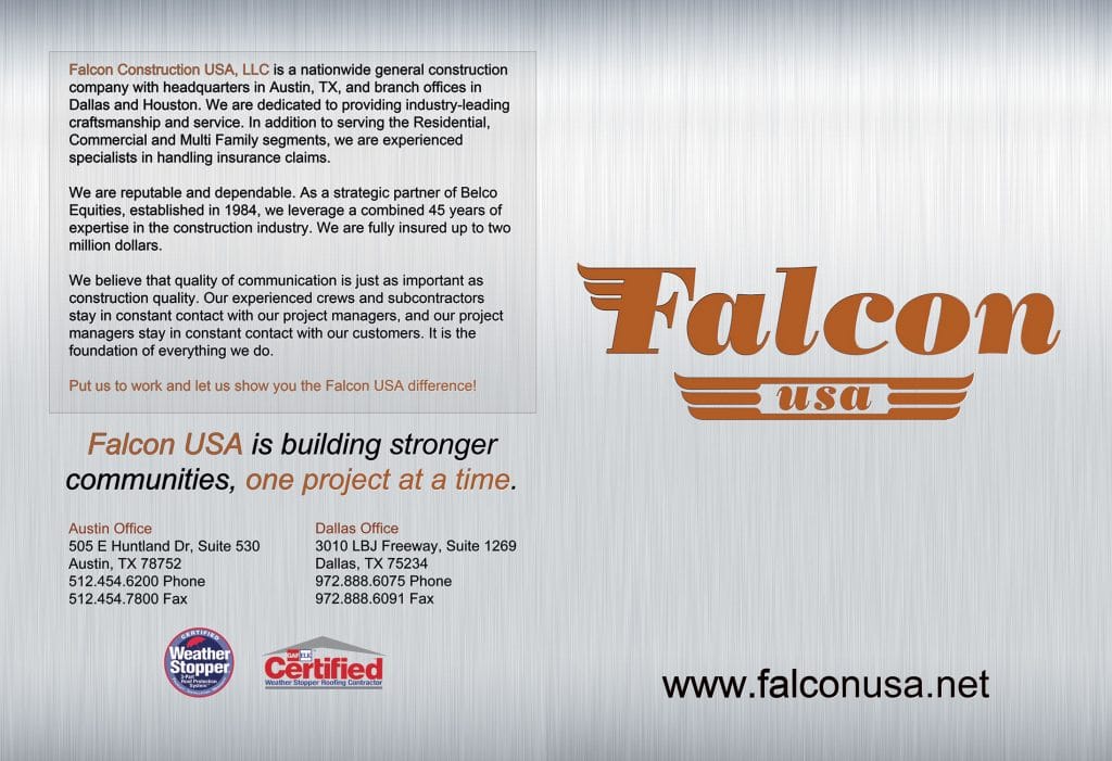 falcon1-1024x701